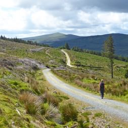 Walking in the Wicklow Mountains