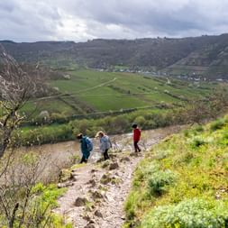 Wanderweg an der Moselschleife