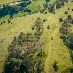 Luftaufnahme von zwei Wanderern auf einem Weg durch die Gungoldinger Wacholderheide, einem grünen Hang mit verstreuten Wacholderbäumen.