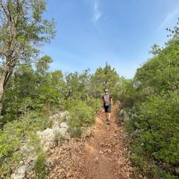 Wanderung durch ein ruhiges Waldstück