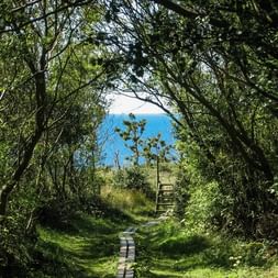 Wanderpfad am Wanderweg Kullaleden in Schweden
