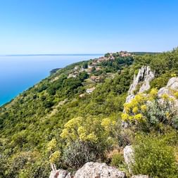 Küstenpanorama nahe Triest