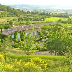 Individual hikes through the Provence
