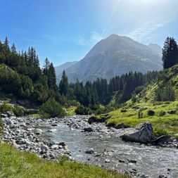 Klarer Gebirgsbach mit steinigem Bett fließt durch grünes Tal. Nadelwälder säumen die Hänge, dahinter ein markanter Berggipfel unter blauem Himmel.