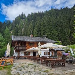 Traditional alpine hut Pfandleralm with outdoor seating area in Passeiertal, surrounded by dense forest and mountains under blue sky.