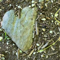 Herzförmiger Stein am Boden