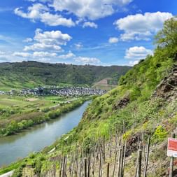 Panoramic view of the Moselle Panoramic view of the Moselle