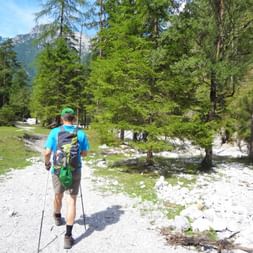 Hiker in a forest clearing near Pillersee