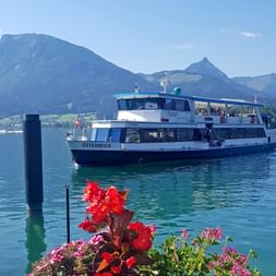 Weißes Passagierschiff auf türkisfarbenem Wolfgangsee mit roten Blumen im Vordergrund und Berggipfeln im Hintergrund unter blauem Himmel.