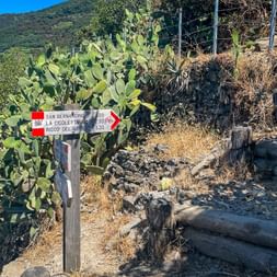 Wooden trail sign in Cinque Terre showing directions to San Bernardino, La Cigoletta, and Ricco del Golfo, with prickly pear cactus and hills.
