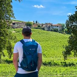Hiker Barbaresco vineyards