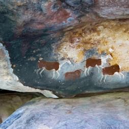 Cave paintings
