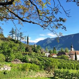 Panoramic view of Nals