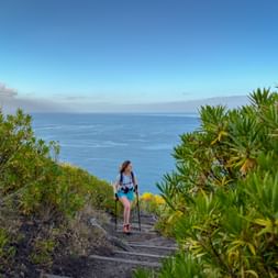 Female hiker with trekking poles on coastal path in Madeira, surrounded by lush green vegetation with ocean view in background.