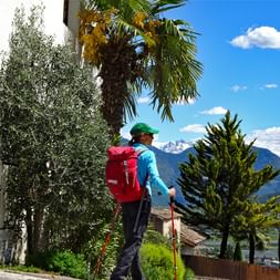 Hiker looks at the breathtaking scenery in Vinschgau