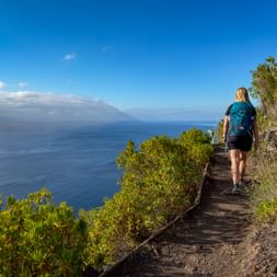 Female hiker with blue backpack walking on narrow coastal trail in Madeira, overlooking the Atlantic Ocean with lush green vegetation.