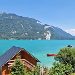 Ufer des Wolfgangsees und Blick auf die Falkensteinwand
