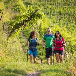 Relaxed group of hikers on their way to lake Garda