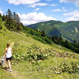 Hiking with a dog in the Salzkammergut region