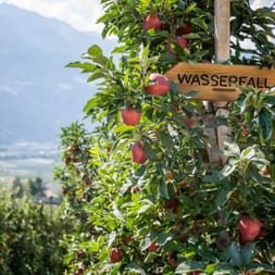 Winklerhof Partschins Signpost to the waterfall