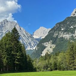 Grüne Wiese vor einem Bergpanorama