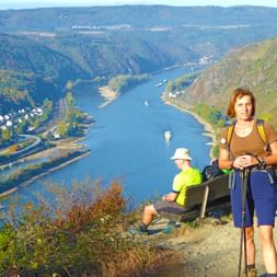 Blick auf den Rhein am Rheinsteig