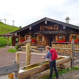 Alpine hut in Lofer