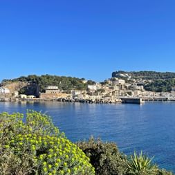 Scenic view of Port de Sóller bay in Mallorca with blue water, hillside town buildings, and Mediterranean vegetation in foreground.