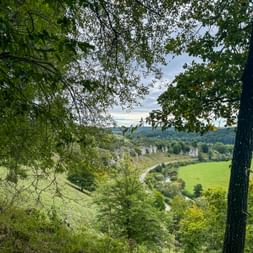 View through trees of Altmühltal valley near Solnhofen with white limestone cliffs, green meadows, and winding path through the landscape.