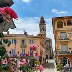 Blühende Rosen auf der Piazza von Monforte d'Alba