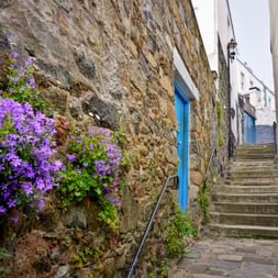 Schmale Steintreppe in St Peter Port zwischen alten Steinmauern mit lila Blumen. Blaue Tür an verwitterter Steinmauer sichtbar.