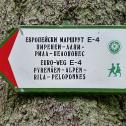 Wegweiser am Baum Euro-Weg E-4