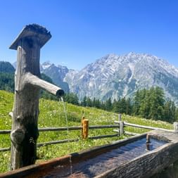 Hölzerner Wasserbrunnen mit fließendem Wasser auf einer Almwiese. Schneebedeckte Berge und Wälder im Hintergrund unter blauem Himmel.