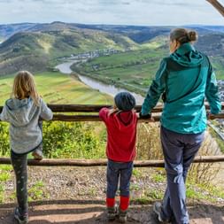 Blick auf die Moselschleife