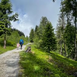 Hikers on the Schmittenhöhe