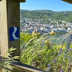The Rheinsteig trail markings
