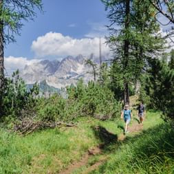 Hikers on the hiking trail in the Dolomites Nature Park