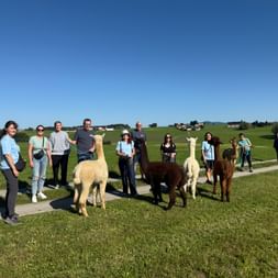 Group of people standing with four alpacas on a green field under blue sky. The alpacas are cream, brown and white colored.