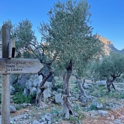 Signposts on the Sa Calobra hiking trail