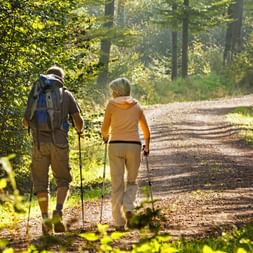 Hikers on the hiking trail