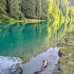 Hollersbach shore