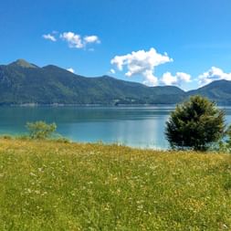 Wunderschöner Blick auf den Walchensee