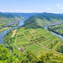 Moselle Trail