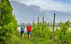 Zwei Wanderer gehen durch grüne Weinbergreihen in Südtirol mit dramatischen Berggipfeln im Hintergrund unter blauem Himmel.