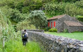 Wanderer mit Rucksack geht entlang einer Steinmauer in der üppig grünen Landschaft der Azoren. Steinhaus mit roten Türen zwischen dichter Vegetation.