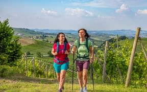 Hiking trail between Langhe and Barolo