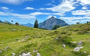 Almwanderung auf der Postalm