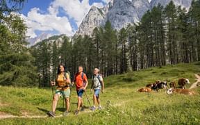 Wanderer am Vrsic Pass