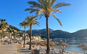 Sandstrand am Port Soller Sandstrand und Palmen am Port Soller