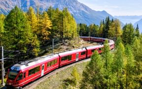 Train passes through a forest